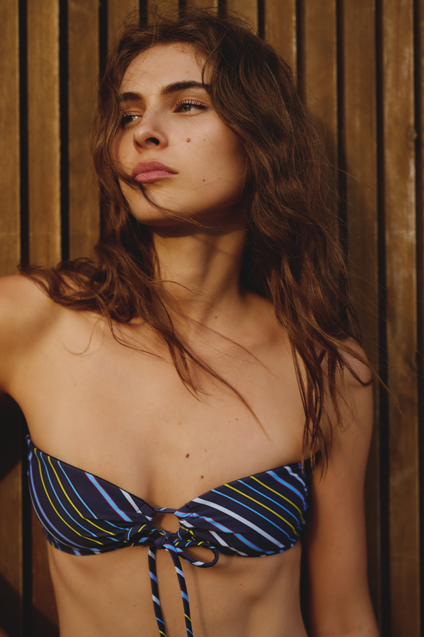 Le Bandeau Bikini Top